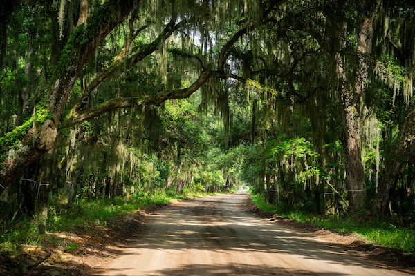 Daufuskie Island Roads