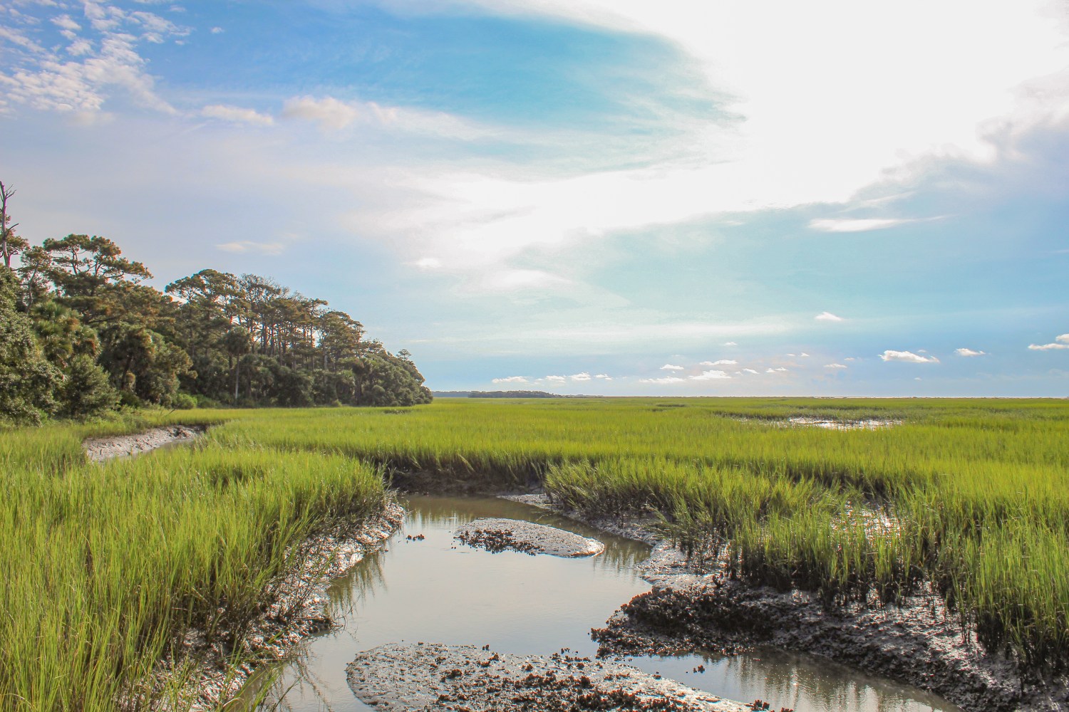Salt marsh with lush green grass, shallow water, and a cloudy blue sky.