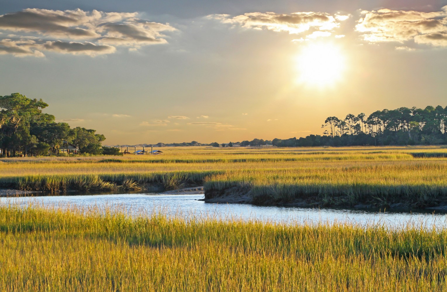 Sunset over a grassy marsh with trees on the horizon and a bright sun in the sky.