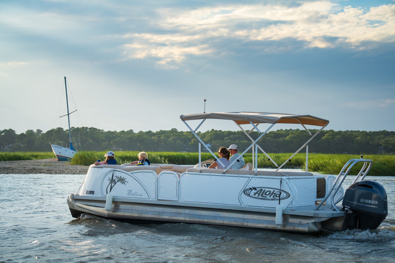 People on a pontoon boat with canopy cruising near a grassy shoreline.